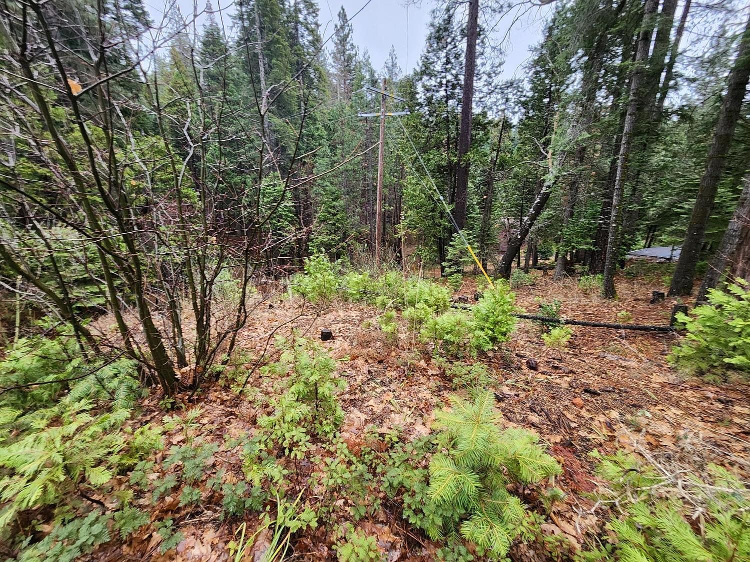 4337 Lakemont Dr Arnold, CA 95223 - Thumbnail 3