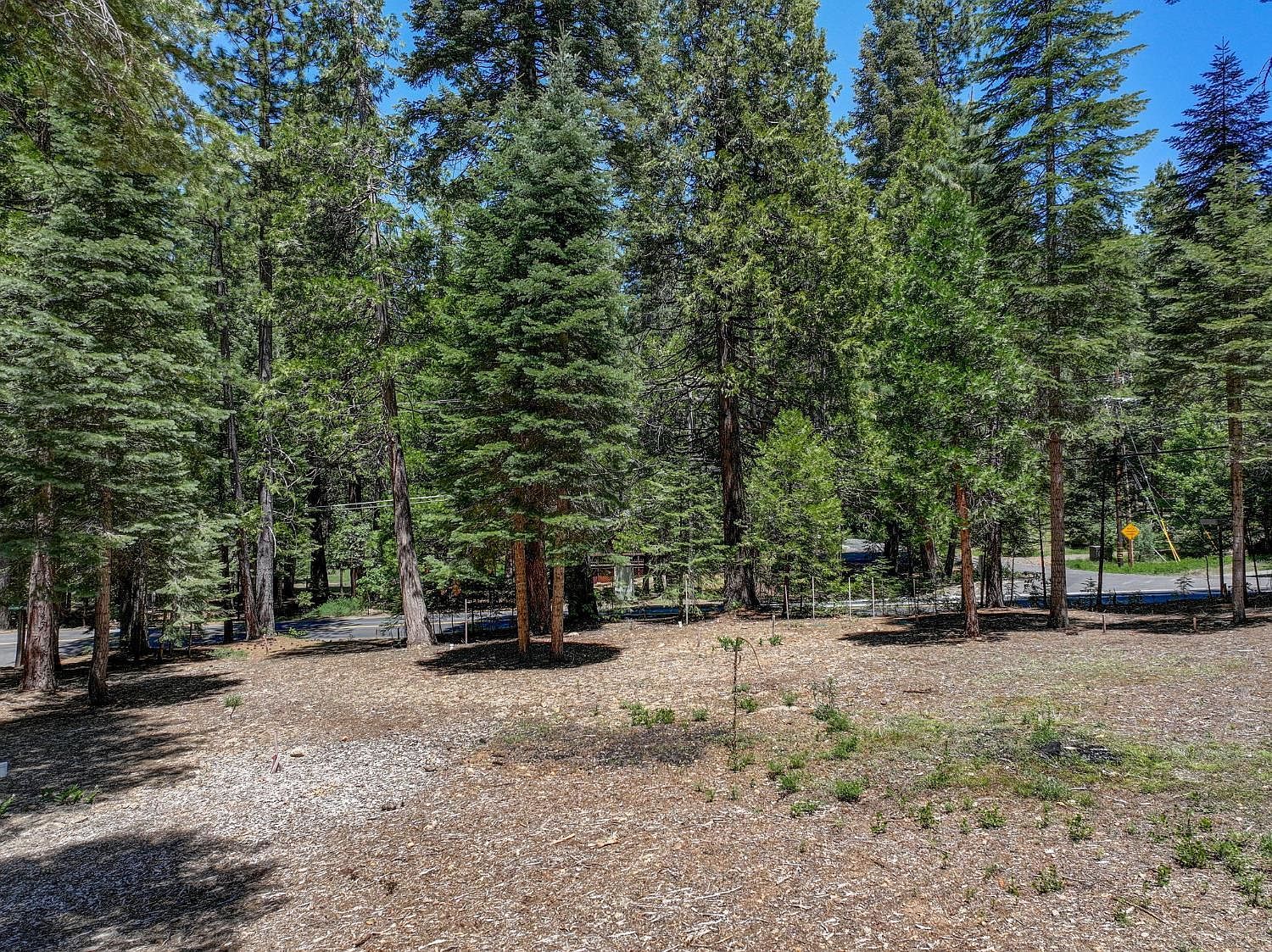 3380 El Camino Boot Strap Arnold, CA 95223 - Thumbnail 3