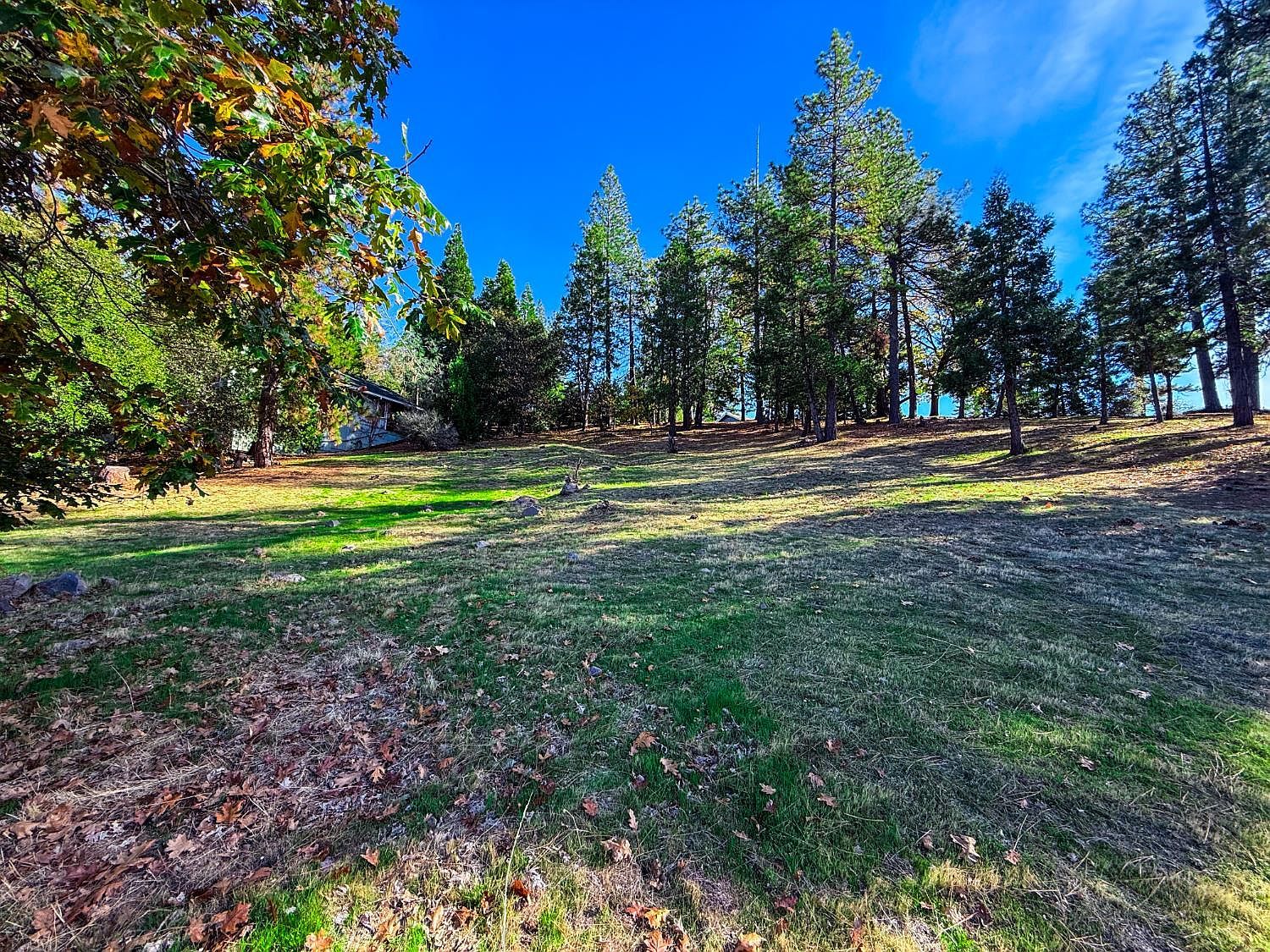 297 Forest Meadows Dr Murphys, CA 95247 - Thumbnail 3