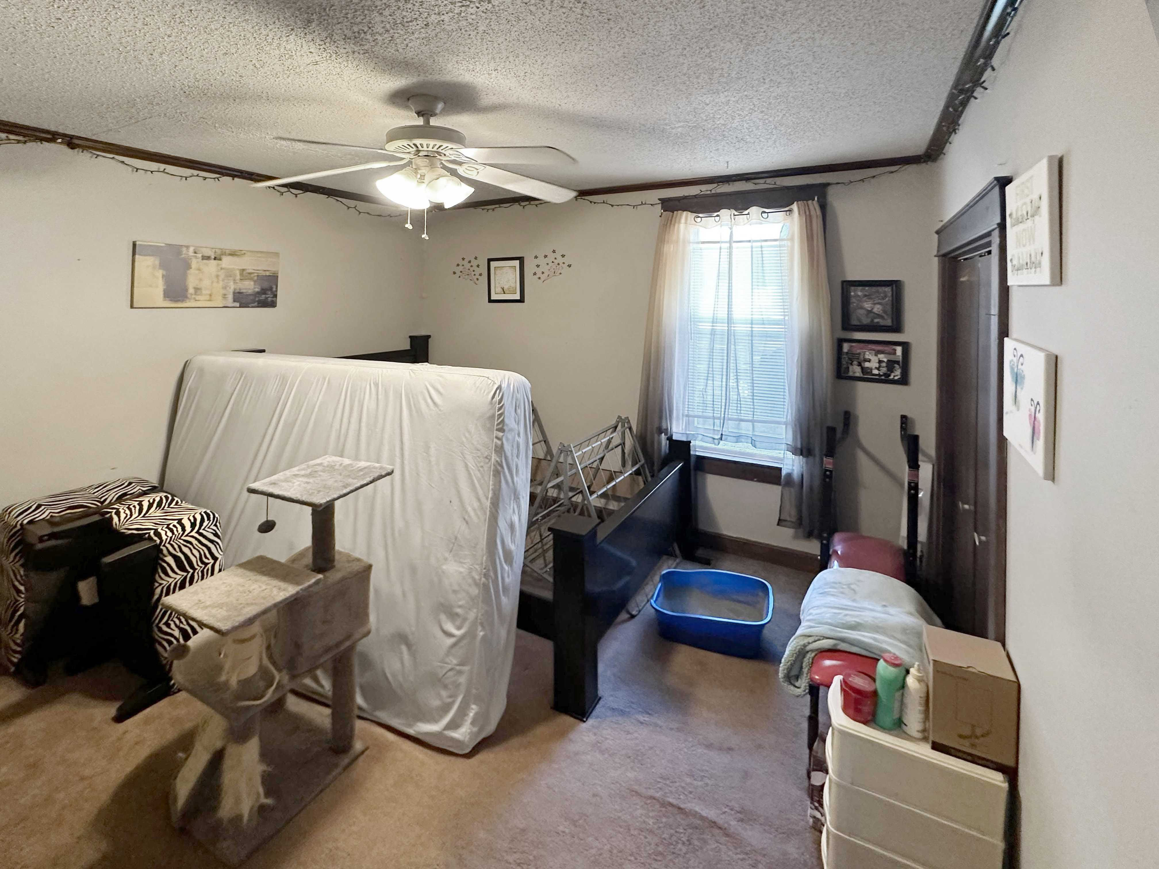 2023 Chestnut Street, Terre Haute, IN, USA, 47807 - Thumbnail 3