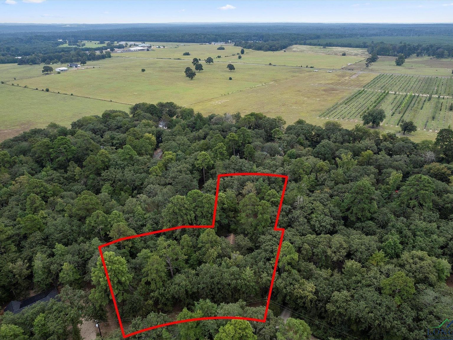 177 Woodfern Gln Holly Lake Ranch, TX 75765 - Thumbnail 3