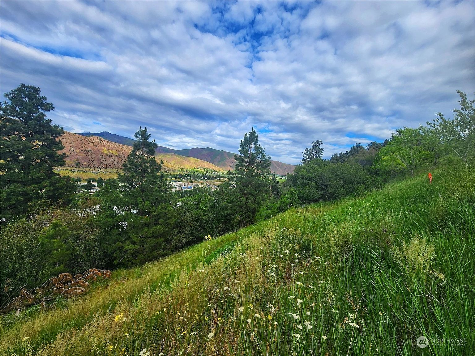 309 Kennedy Rd Cashmere, WA 98815 - Thumbnail 3