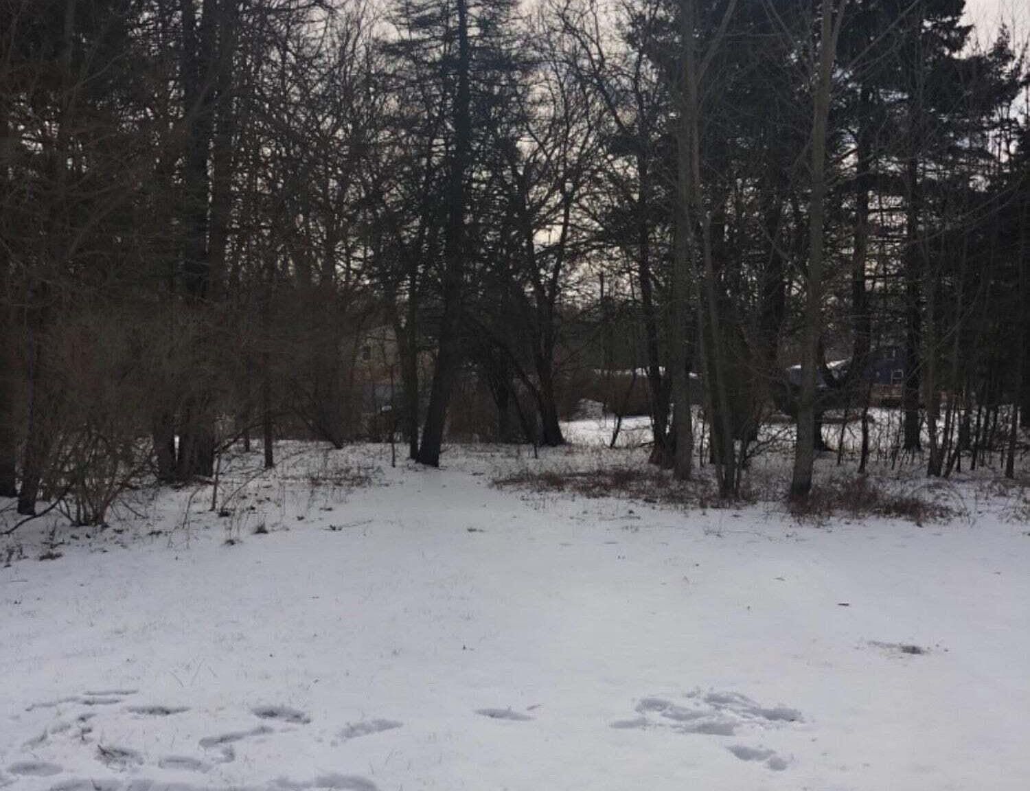 6711 W 134th Pl Cedar Lake, IN 46303  | Land/Lot