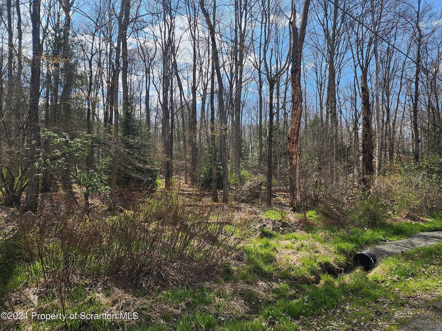 Ridge St Moscow, PA 18444 - Thumbnail 3