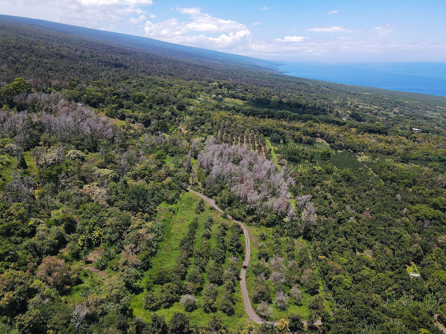 84-1178 Telephone Exchange Rd Captain Cook, HI 96704 - Thumbnail 3