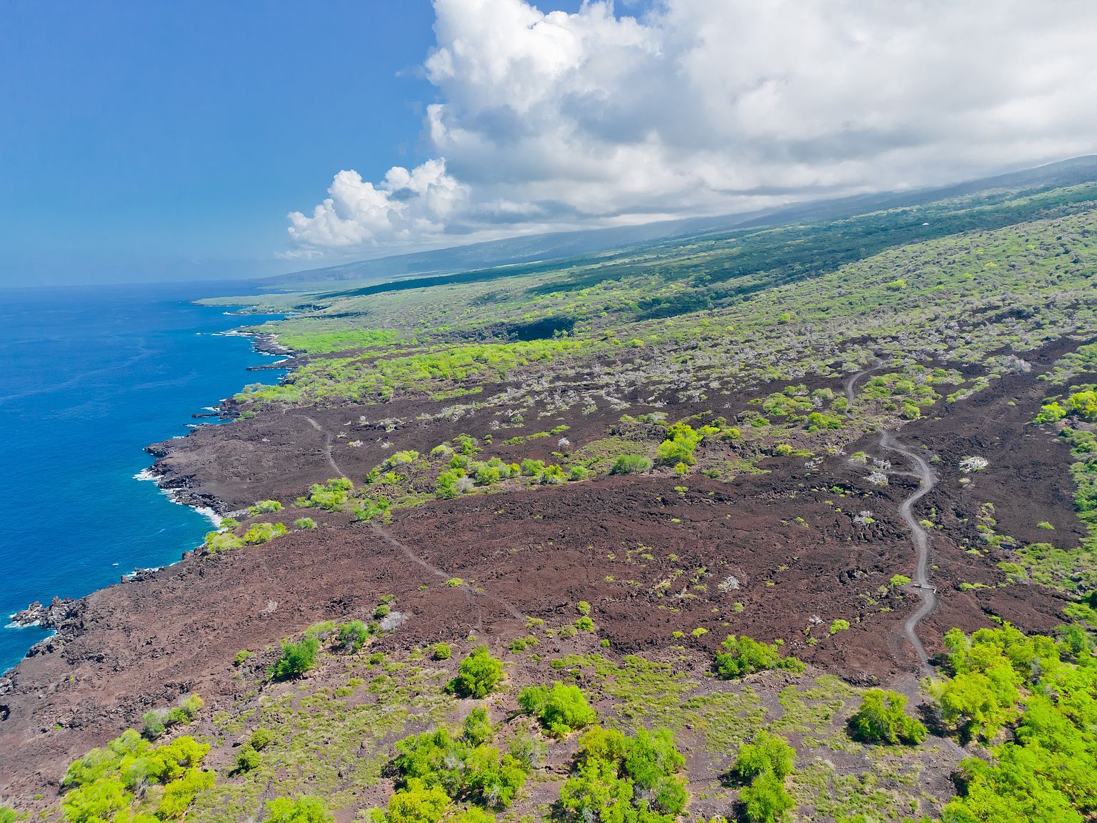 86-3845 Old Government Rd Captain Cook, HI 96704 - Thumbnail 3