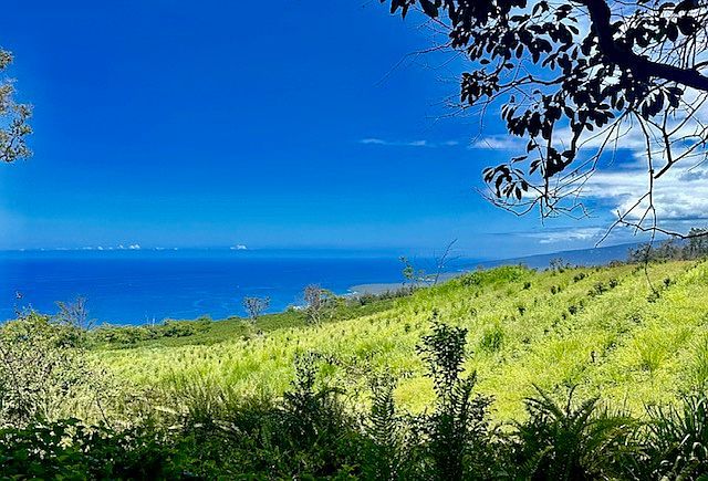 87-1081 Haleili Rd Captain Cook, HI 96704 - Thumbnail 3