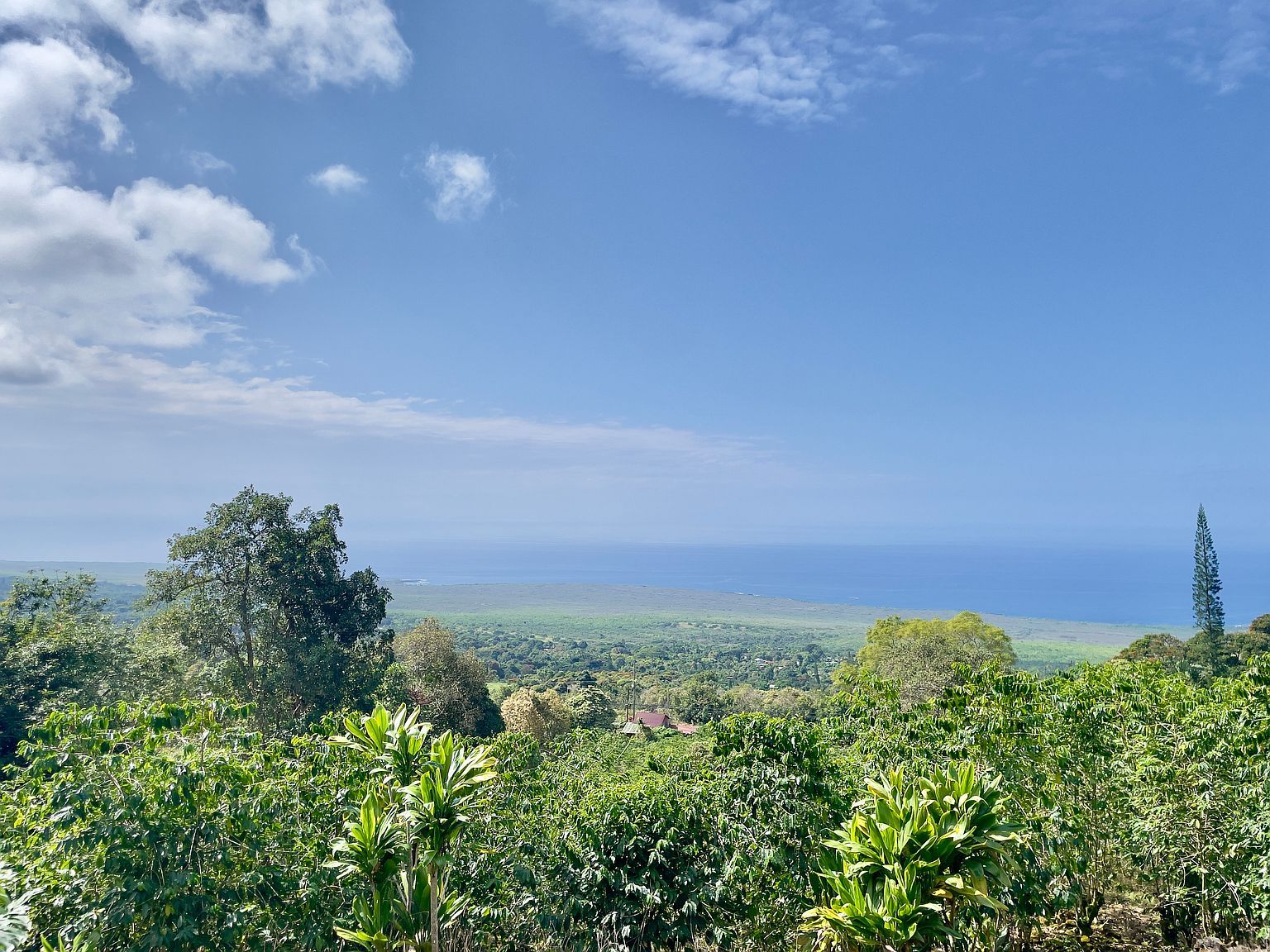 83-5586 Hawaii Belt Rd Captain Cook, HI 96704 - Thumbnail 3