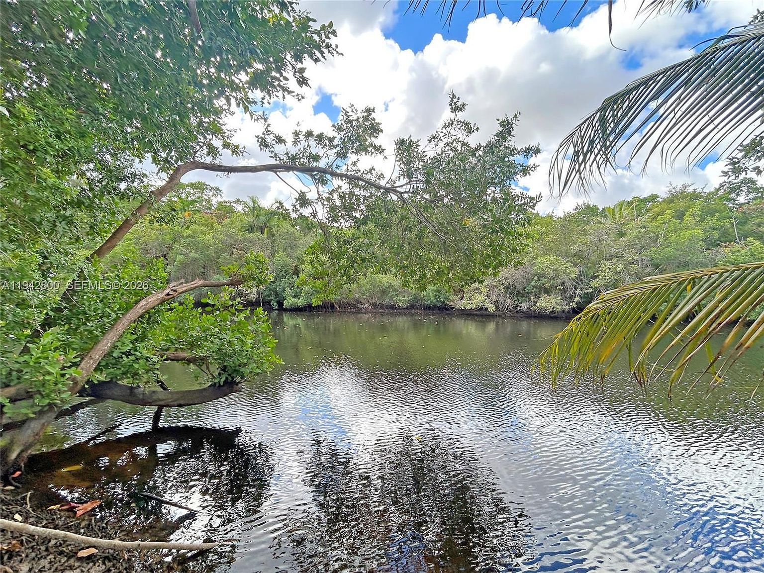 2441 NW 9th Ter Wilton Manors, FL 33311 - Thumbnail 3