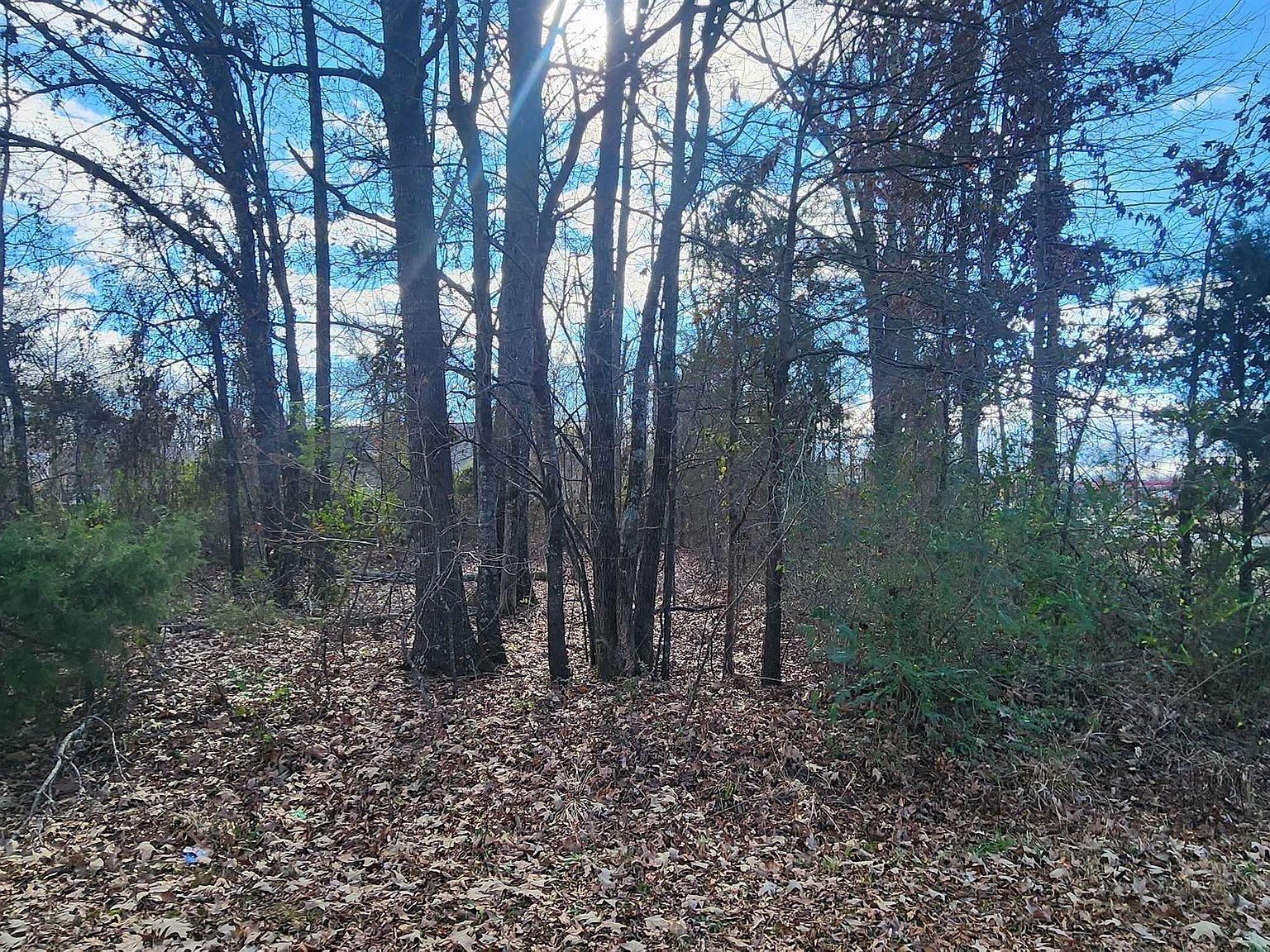 107 Southhaven Ave Cabot, AR 72023 - Thumbnail 3