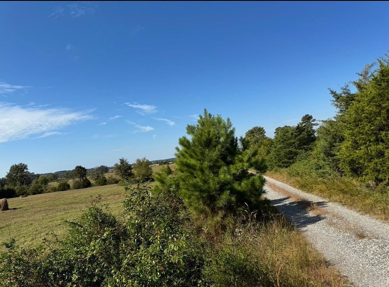 0 Crockett Rd Rose Bud, AR 72137 - Thumbnail 3