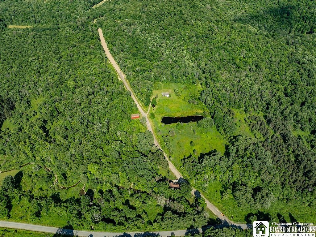 0 Morgan Hollow Rd #53 Franklinville, NY 14737 - Thumbnail 3