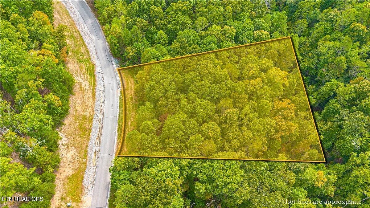 125 Old Hearth Dr La Follette, TN 37766 - Thumbnail 3