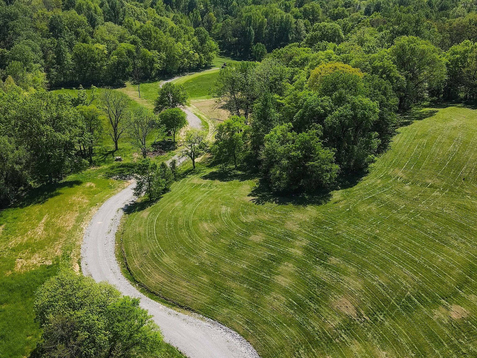 6459 Peytonsville Arno Rd College Grove, TN 37046 - Thumbnail 3