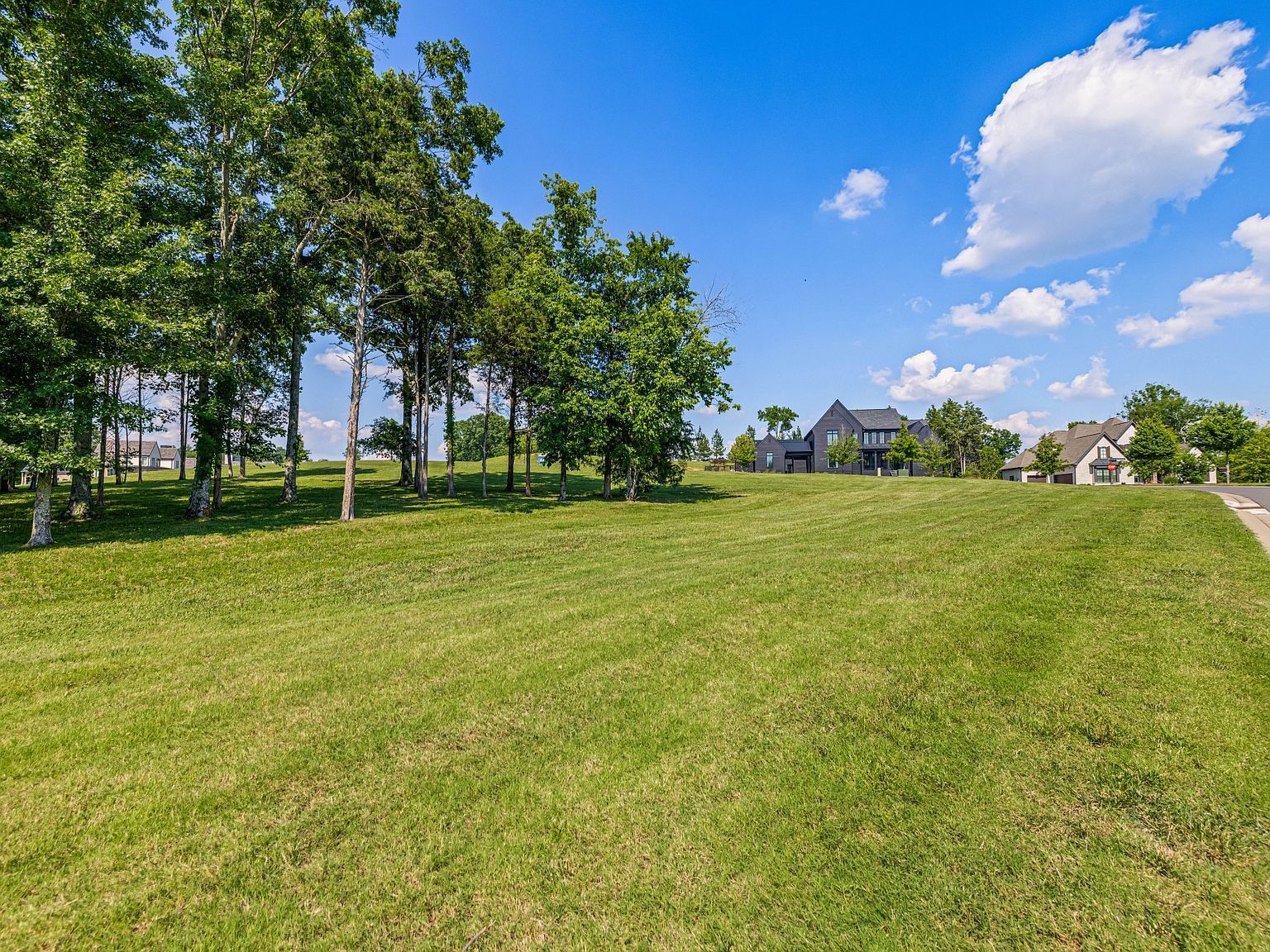 7266 Harlow Dr LOT 309 College Grove, TN 37046 - Thumbnail 3