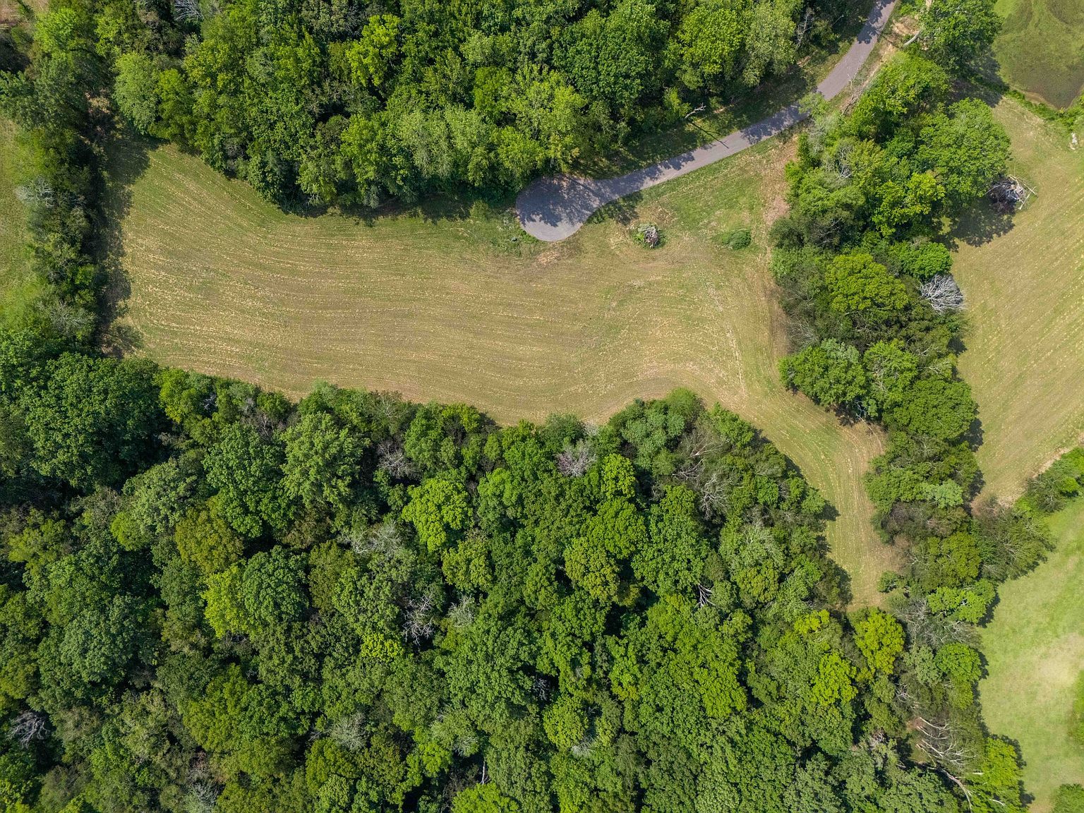 9035 Possum Trot Trl LOT 2 College Grove, TN 37046 - Thumbnail 3