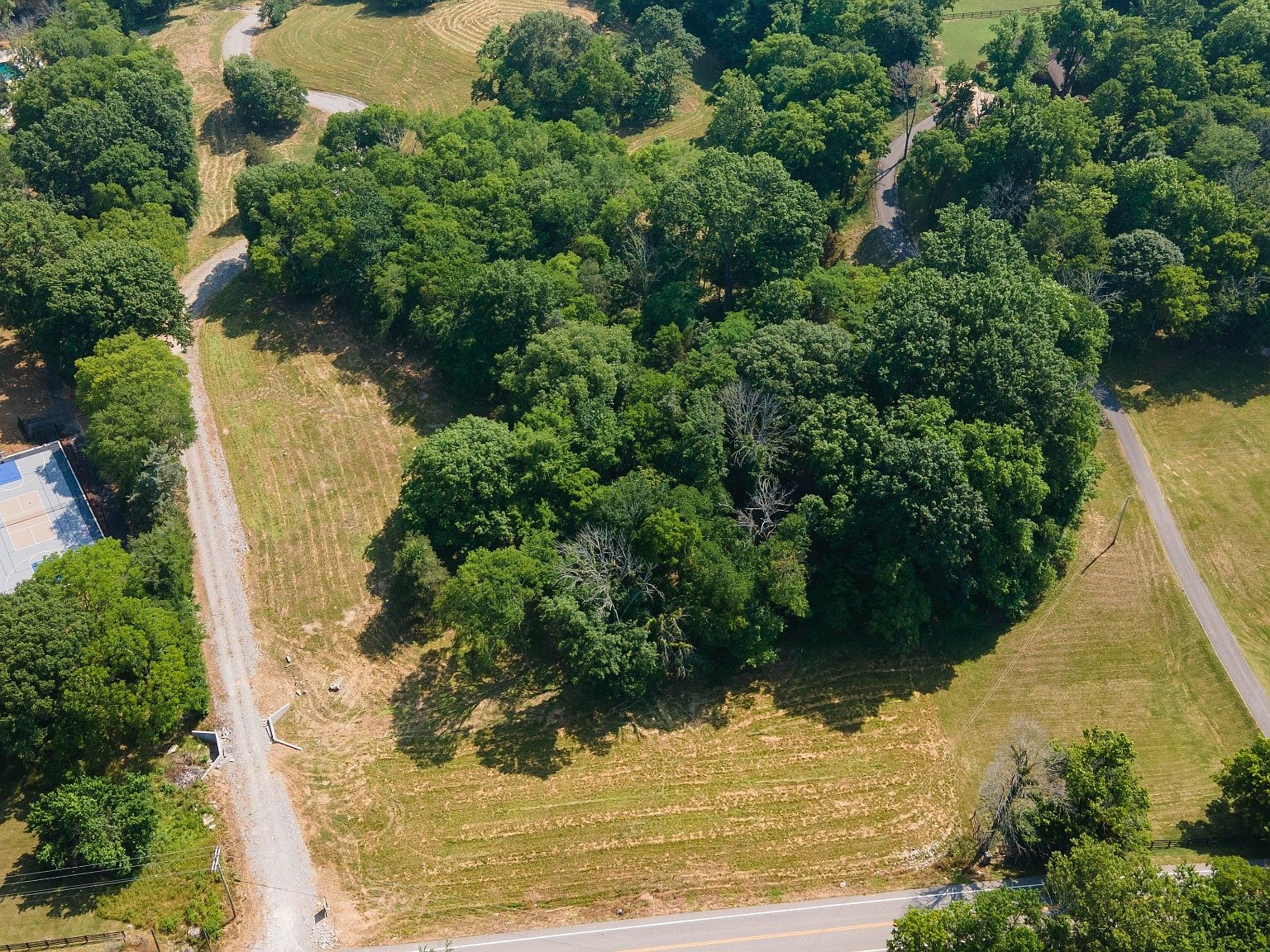 6459 Peytonsville Arno Rd LOT 1 College Grove, TN 37046 - Thumbnail 3