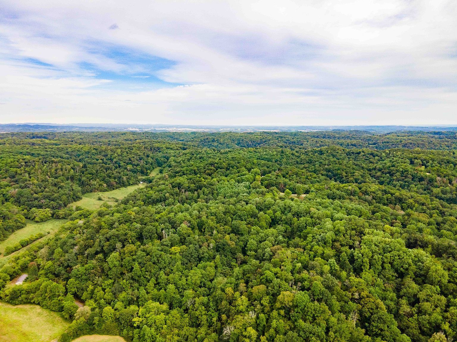 3045 Robert Skelley Rd Columbia, TN 38401 - Thumbnail 3