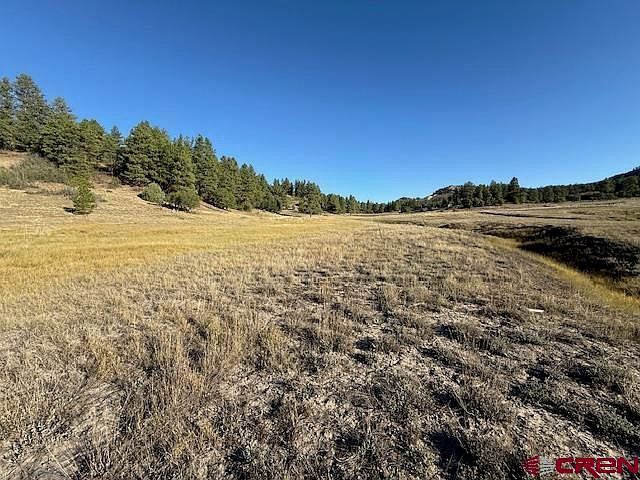 980 Catchpole Dr Pagosa Springs, CO 81147 - Thumbnail 3