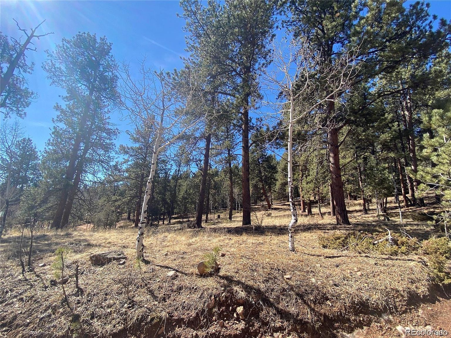 12373 S Polly Dr Pine, CO 80470 - Thumbnail 3