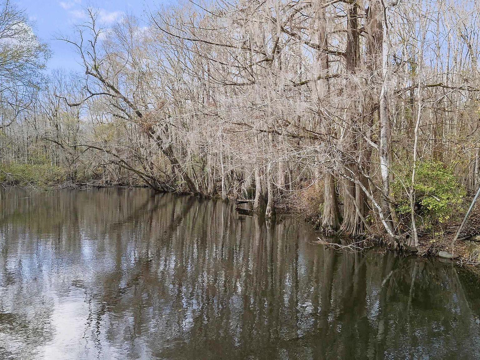 776 Shillings Bridge Rd, Orangeburg, SC, 29118 - Thumbnail 3