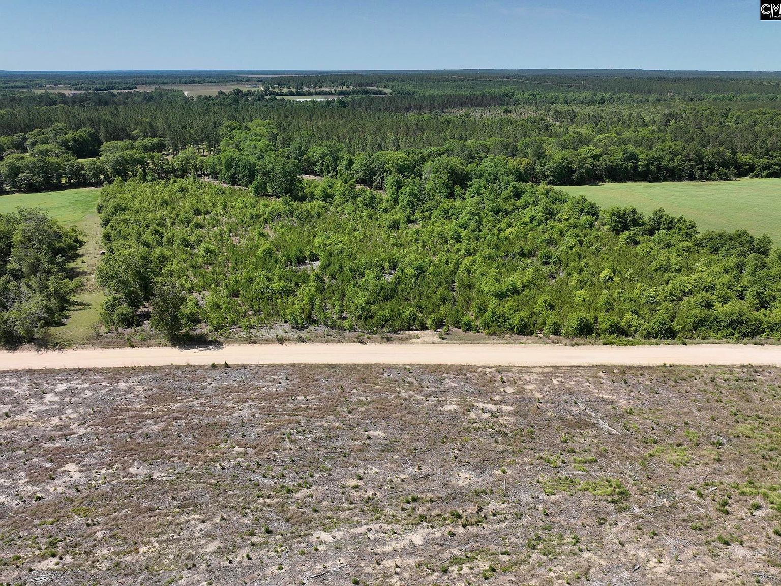 LOT 2 Charlie Johnson Rd Bethune, SC 29009 - Thumbnail 3