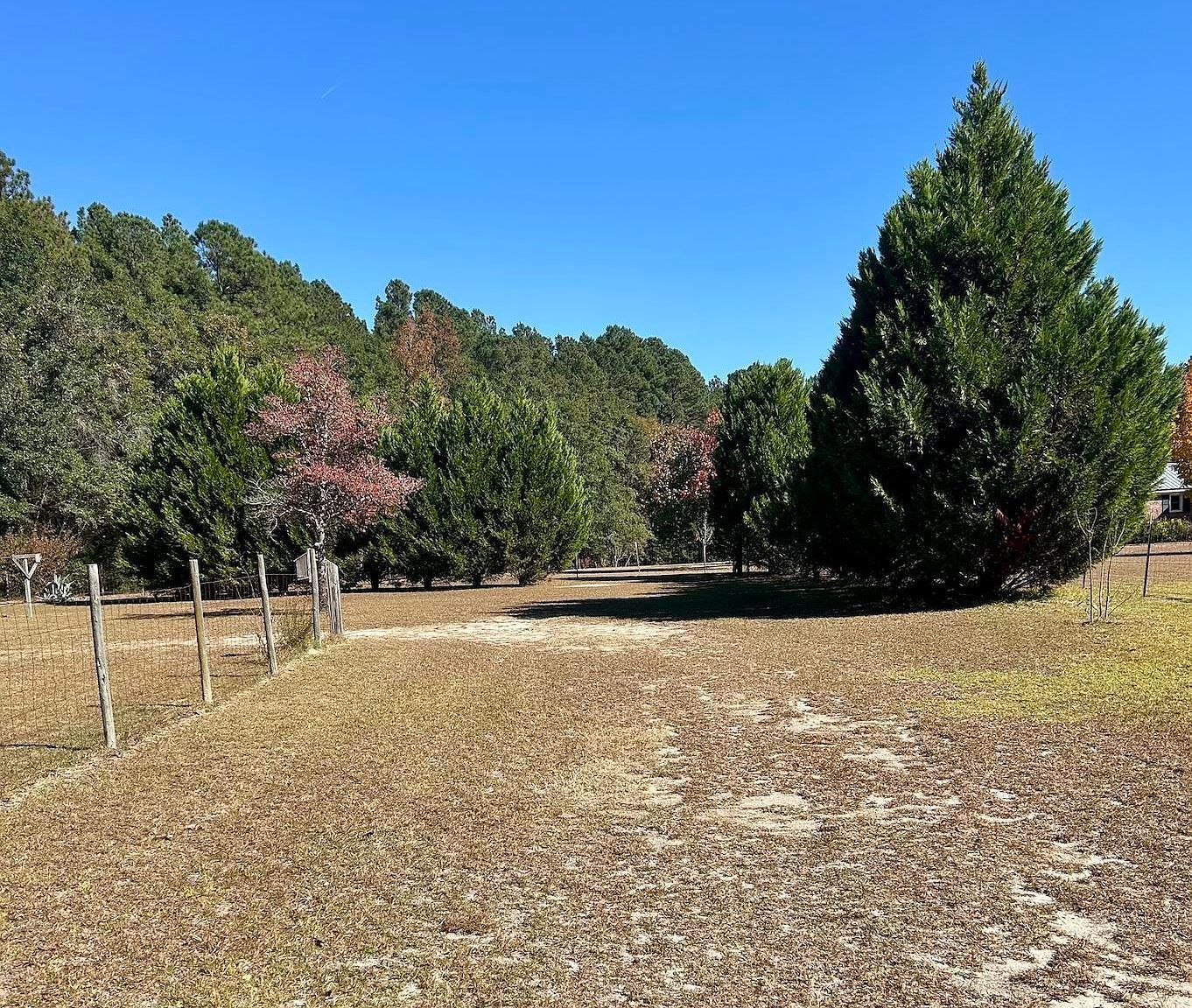 668 Briar Creek Rd Branchville, SC 29432 - Thumbnail 3