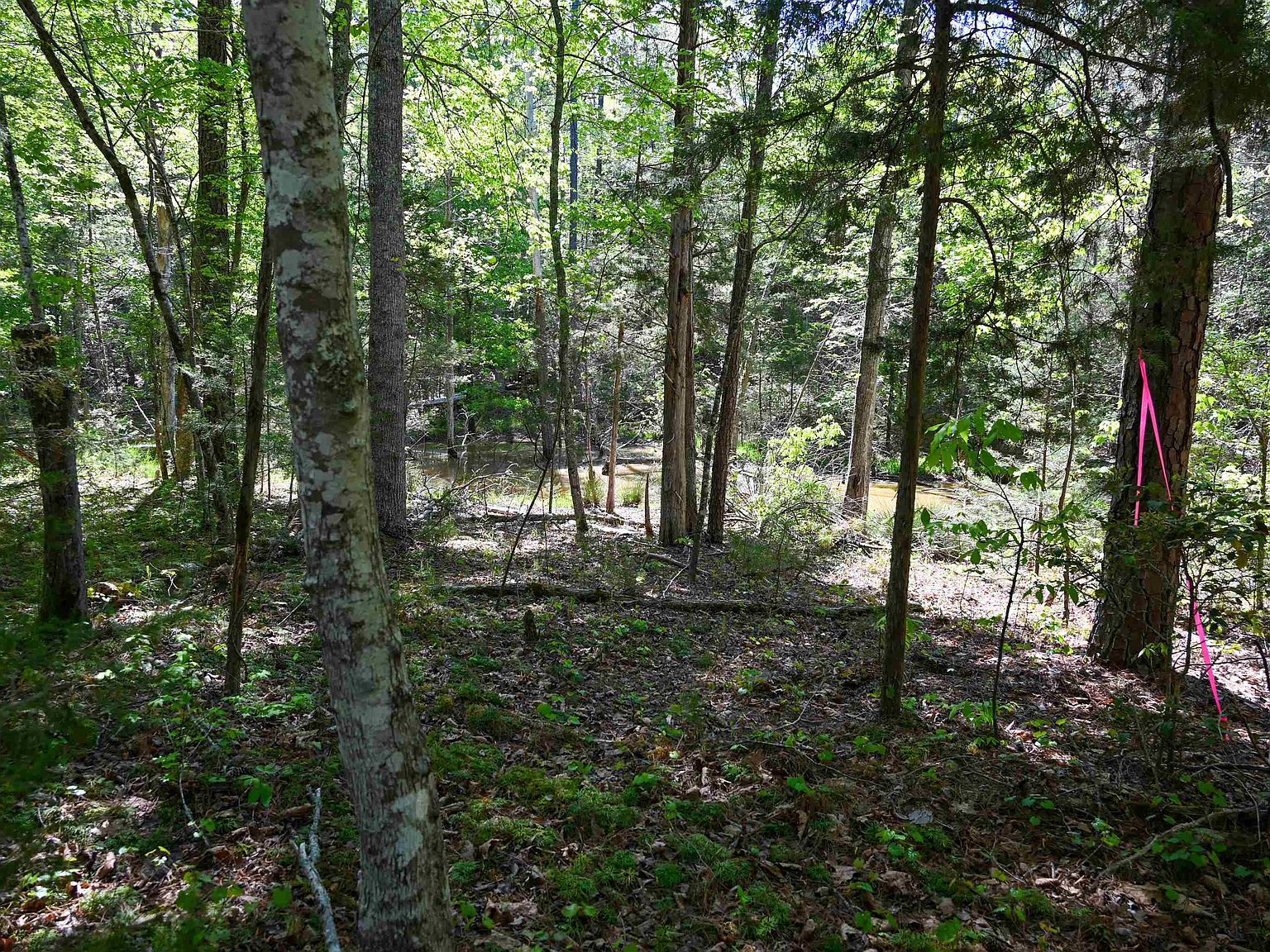 Spalding Dr Blackstock, SC 29014 - Thumbnail 3