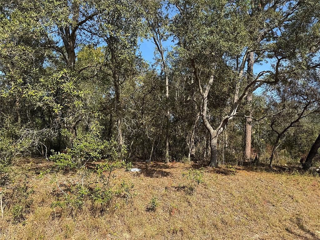 SE 115th Place Rd LOT 6 Ocklawaha, FL 32179 - Thumbnail 3
