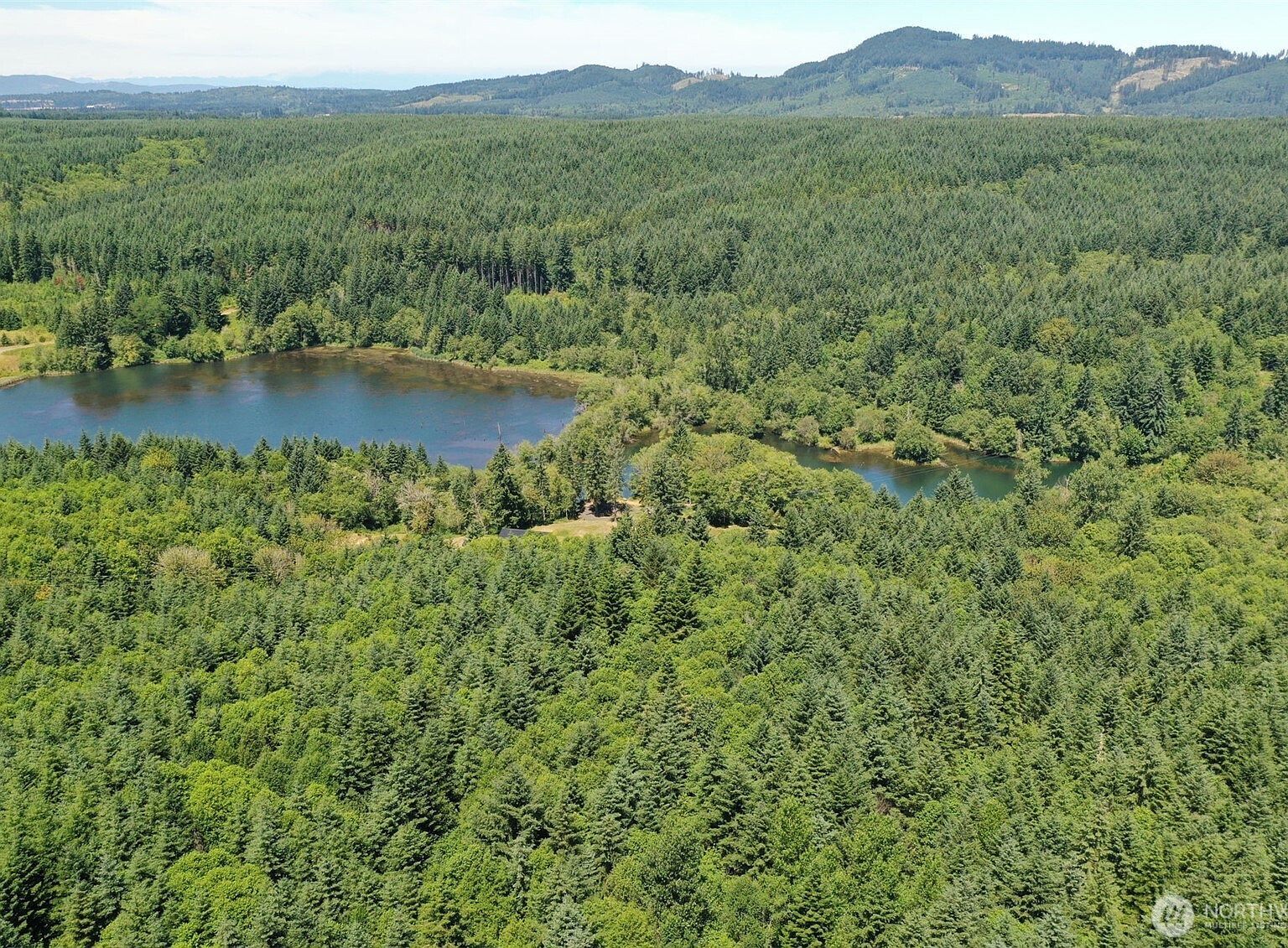 21500 Tono Rd SE Centralia, WA 98531 - Thumbnail 3