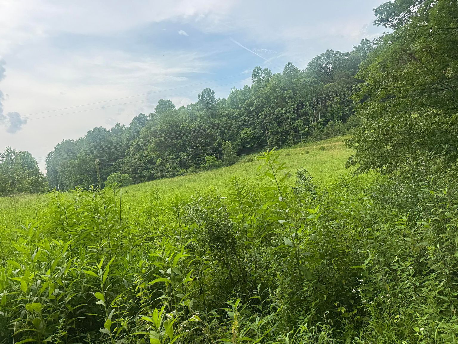 500 Hail Bridge Rd Somerset, KY 42501 - Thumbnail 3