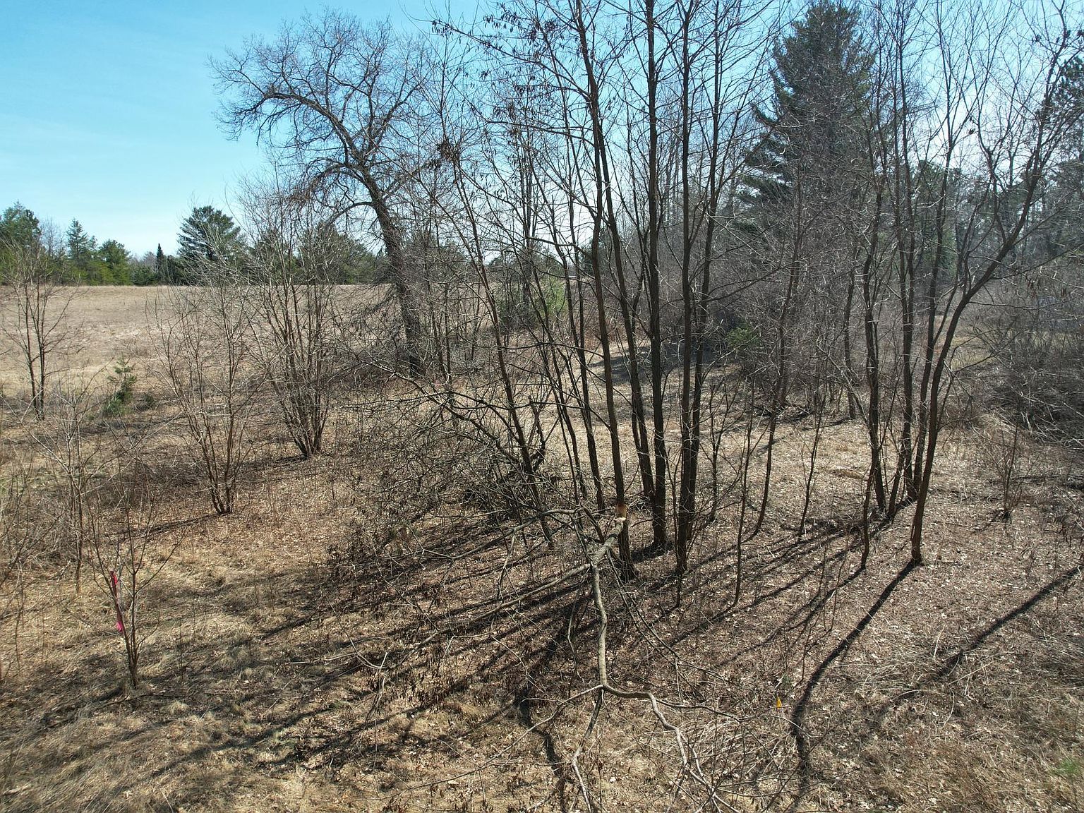 Theiler Dr. Lots 1 & 2 Tomahawk, WI 54487 - Thumbnail 3