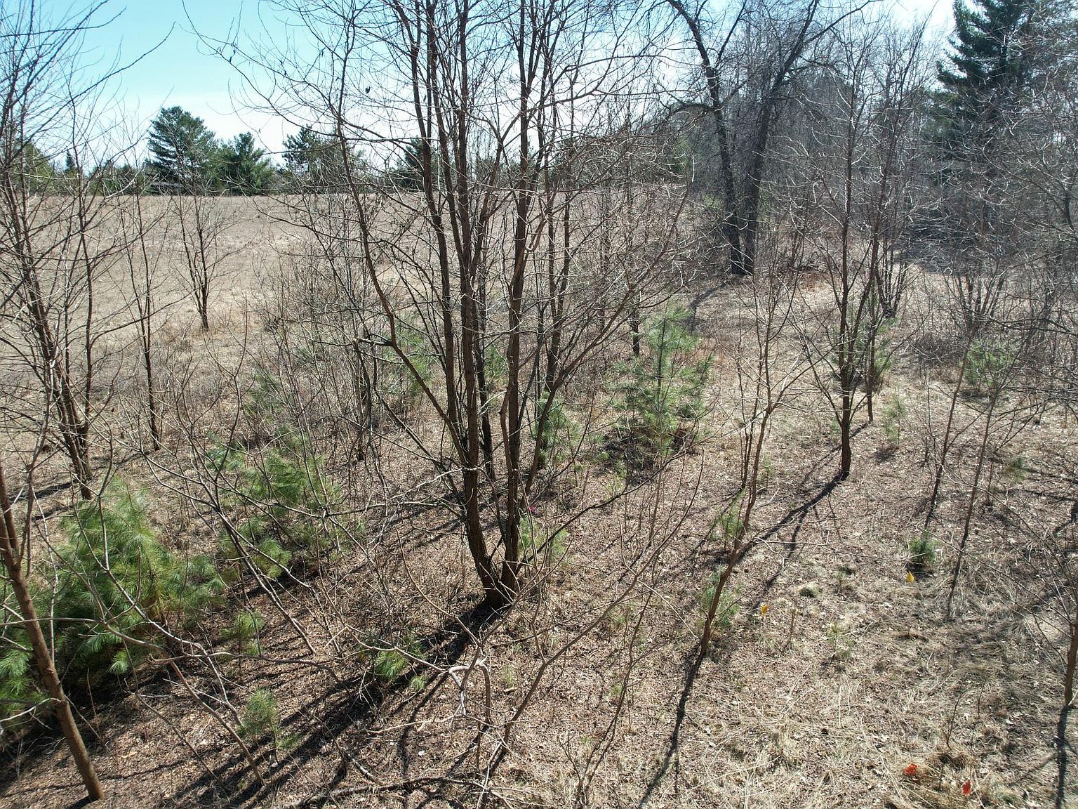 2 Theiler Dr Tomahawk, WI 54487 - Thumbnail 3