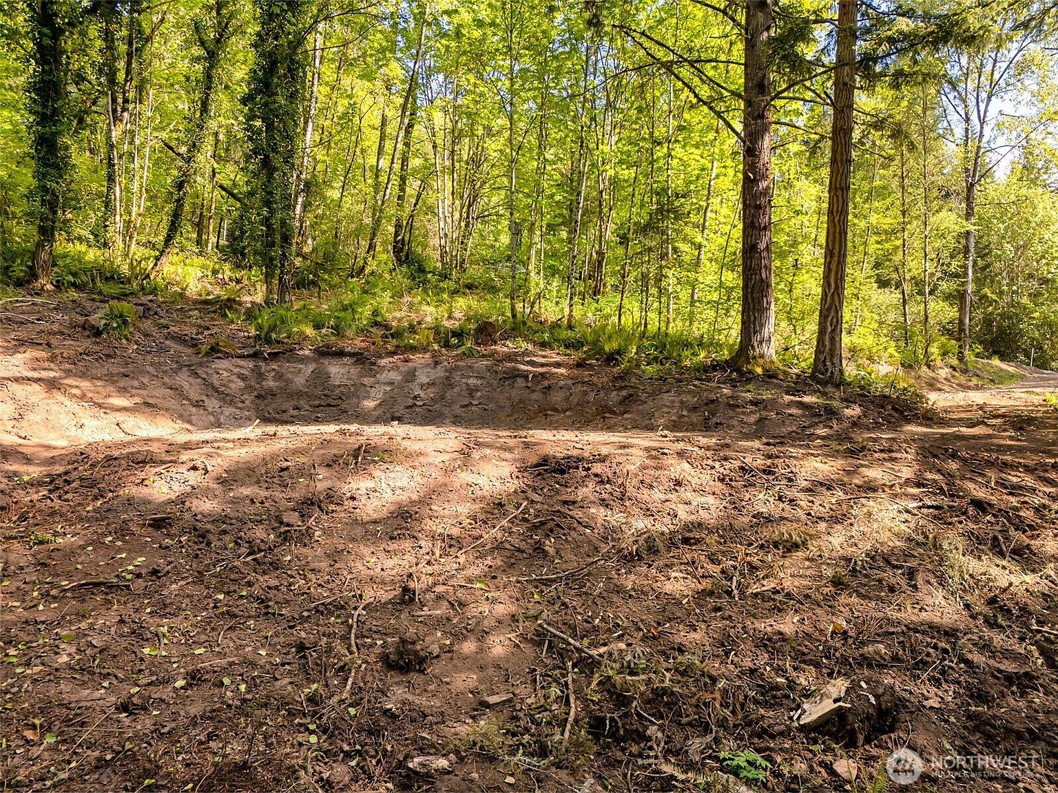 147 Old Spreadborough Rd Kalama, WA 98625 - Thumbnail 3