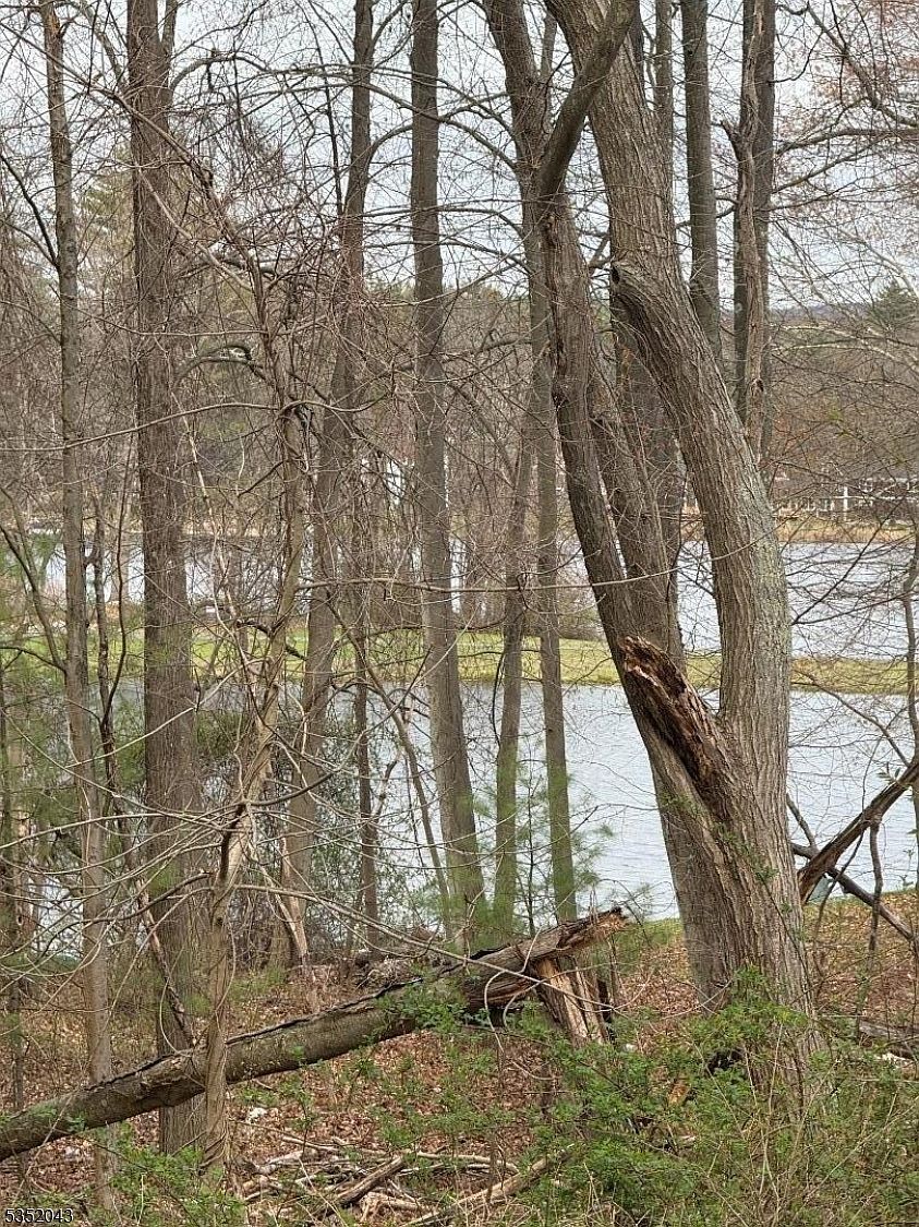 232 Lake Shr E Montague, NJ 07827 - Thumbnail 3