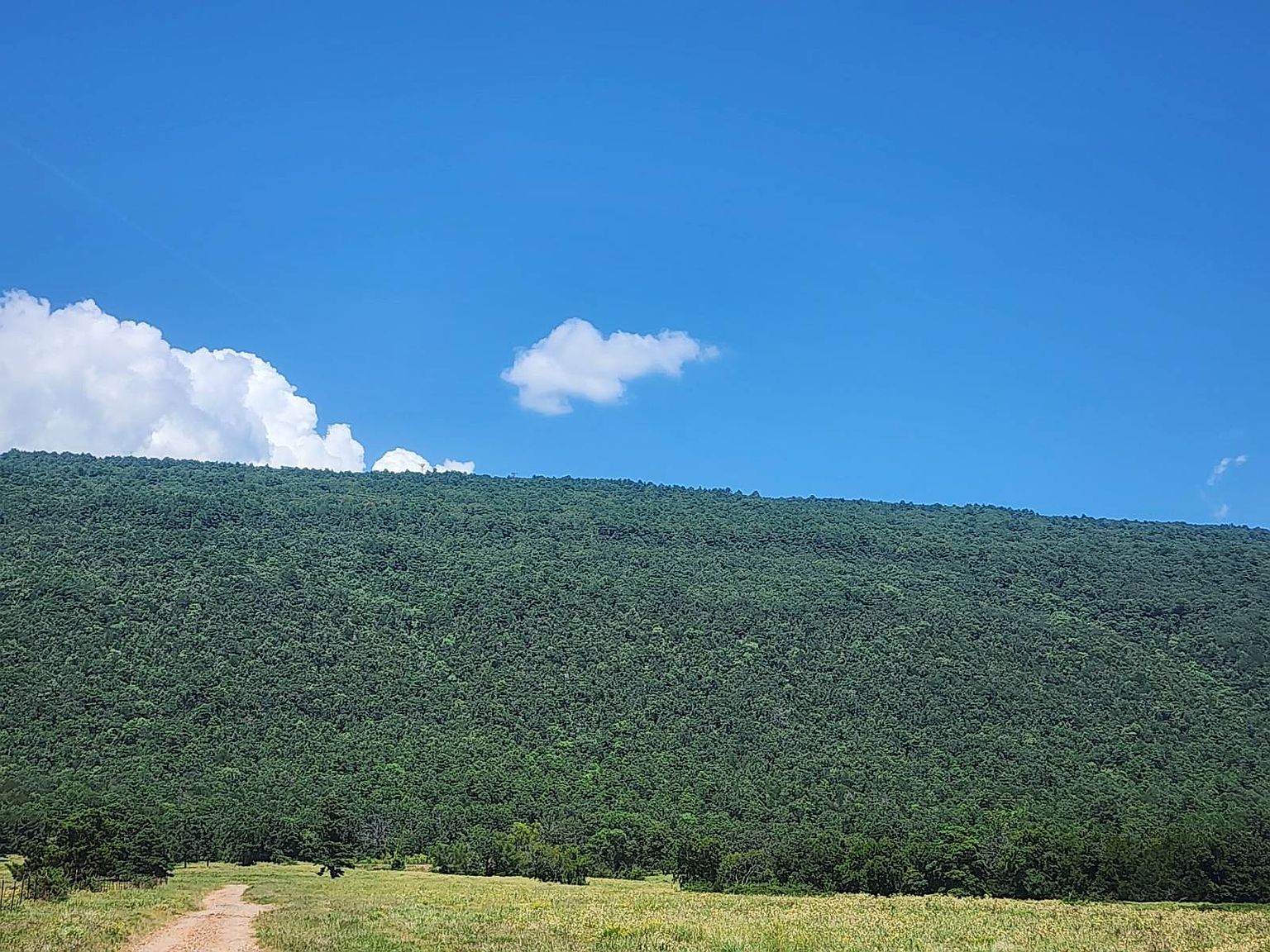 0 SE Highway 63 Talihina, OK 74571 - Thumbnail 3