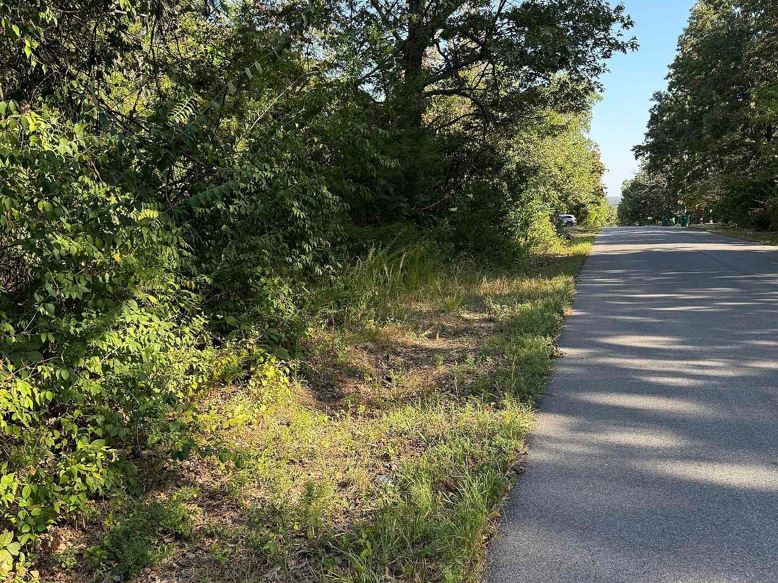 1213 Ridge Cir, Horseshoe Bend, AR, 72512 - Thumbnail 3