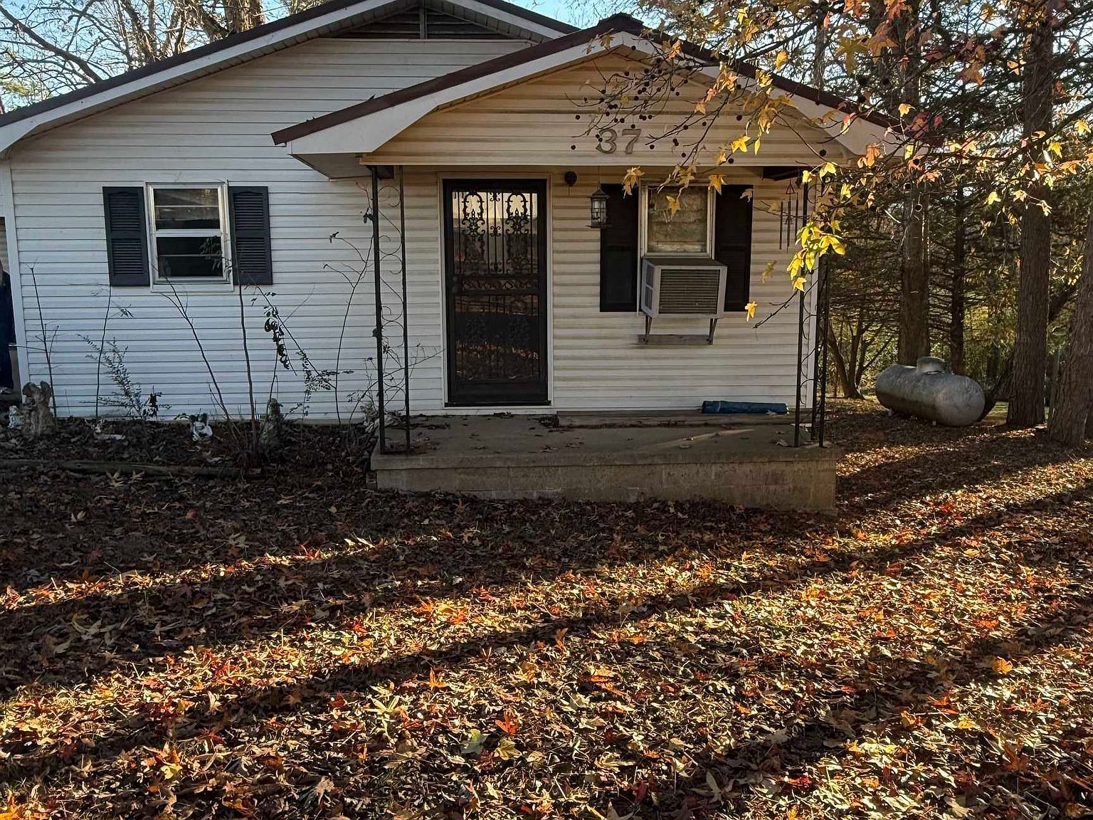 37 Park Cir Evening Shade, AR 72532 - Thumbnail 3