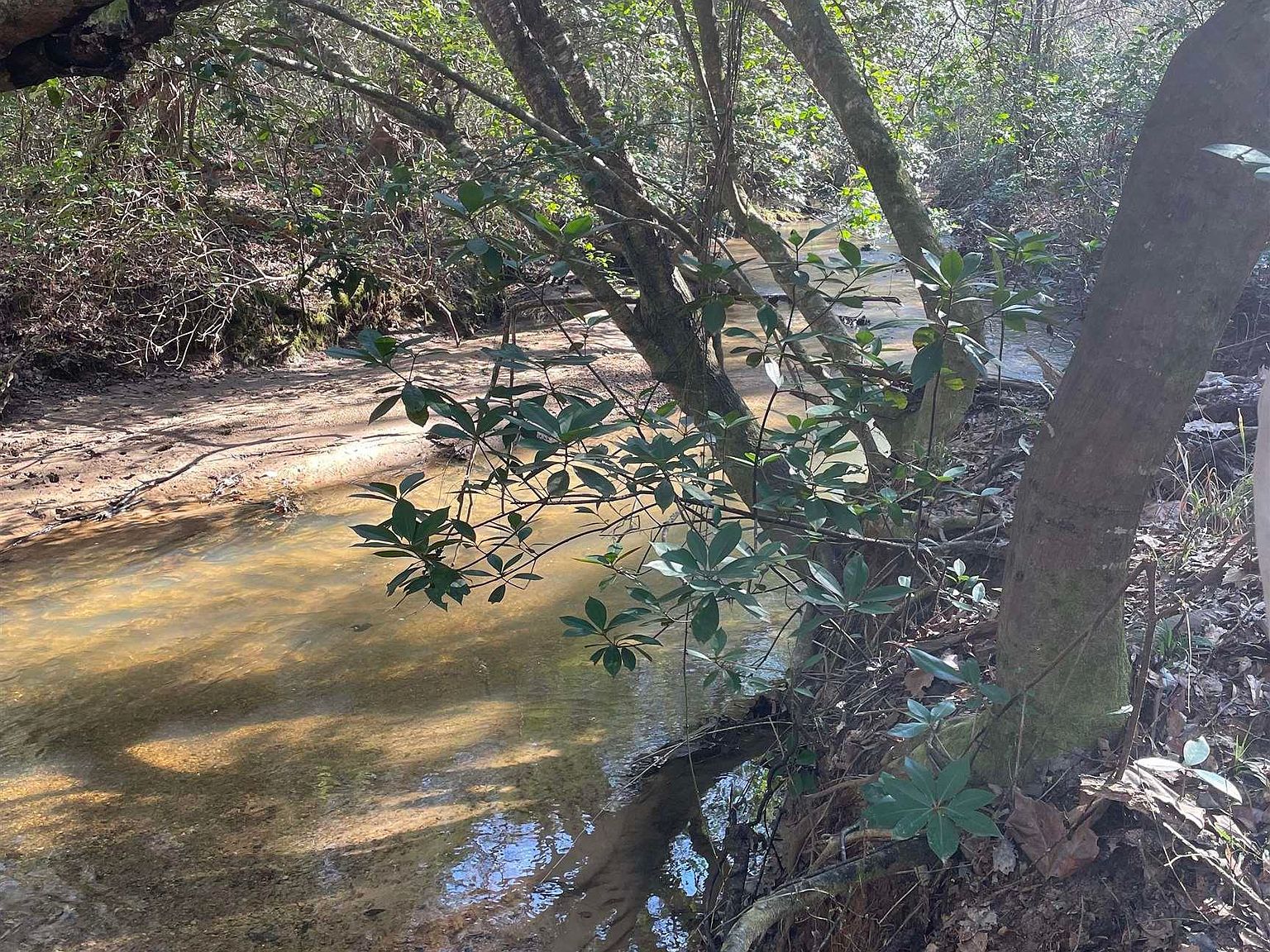 529 Sand Bottom Rd Peterman, AL 36471 - Thumbnail 3