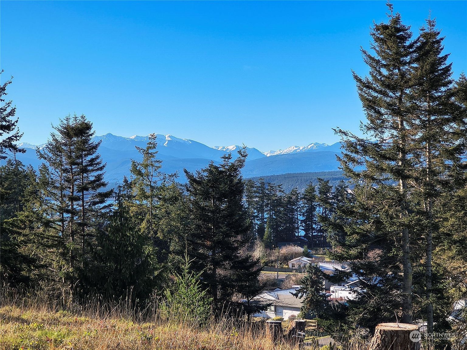 188 S Rhododendron Dr Port Townsend, WA 98368 - Thumbnail 3