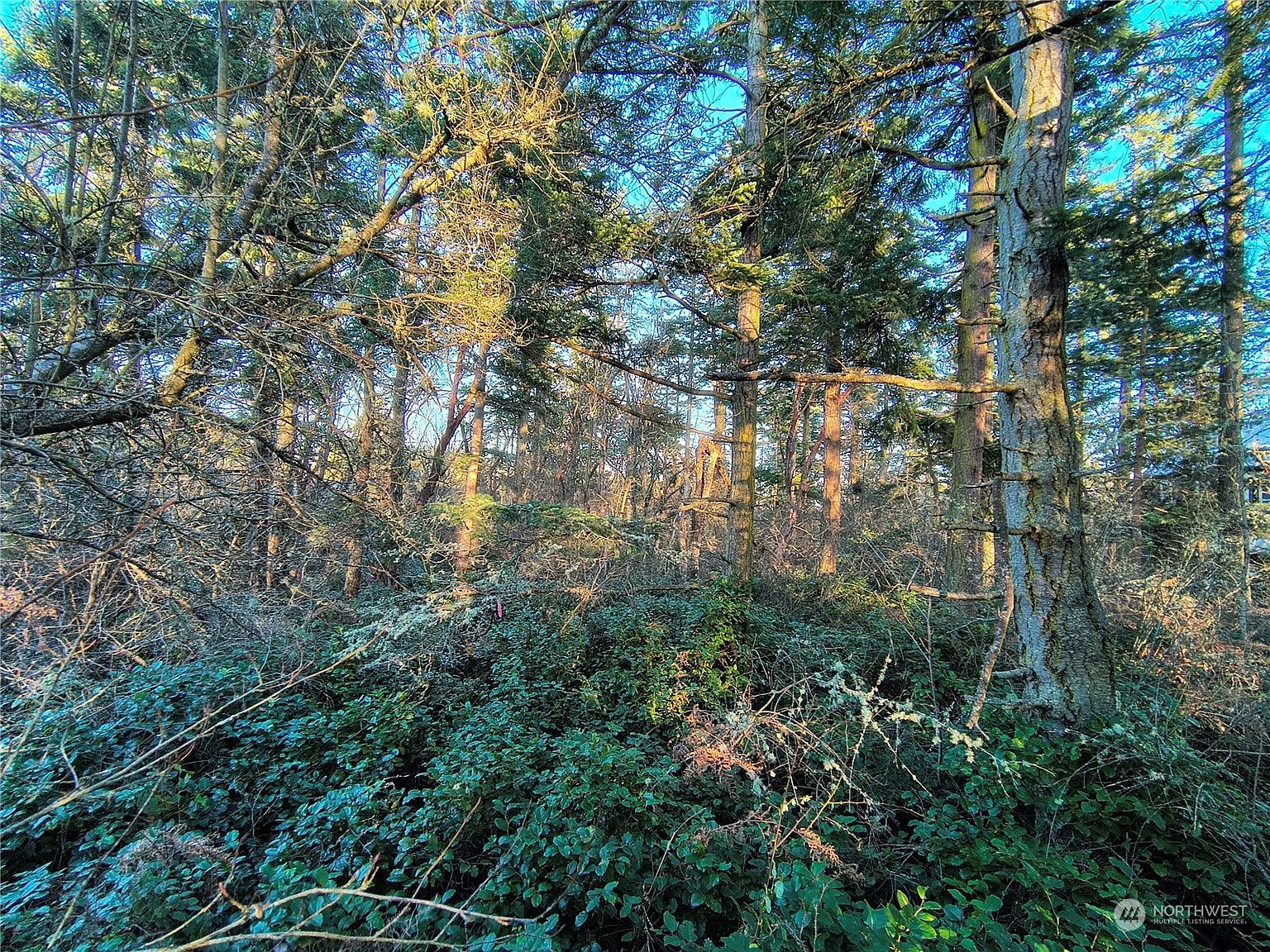 0 Sherman St Pt Townsend, WA 98368 - Thumbnail 3