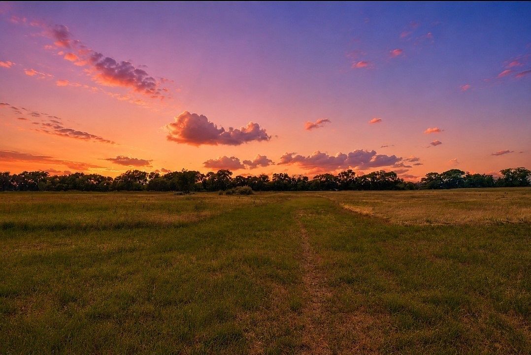 1948 County Road 1255 Savoy, TX 75479 - Thumbnail 3
