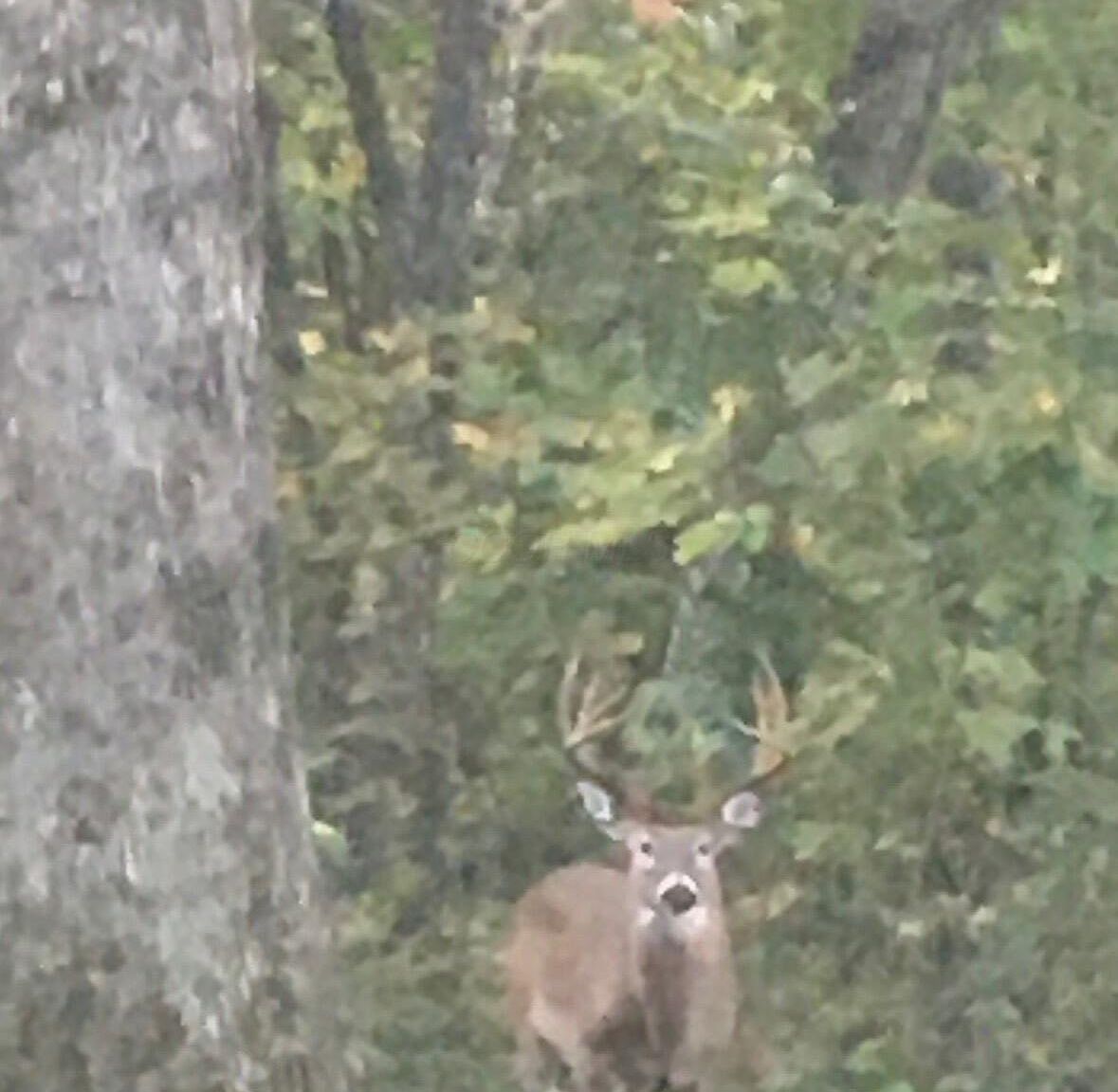 0 Loudermilk Rd Glouster, OH 45732 - Thumbnail 3