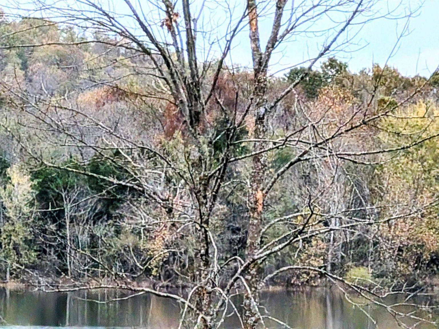 1805 Fox Point Horseshoe Bend, AR 72512 - Thumbnail 3