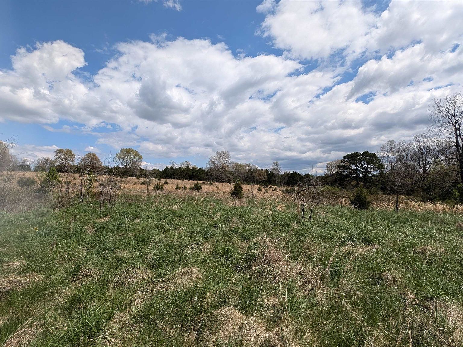 56 High Way Ash Flat, AR 72513 - Thumbnail 3