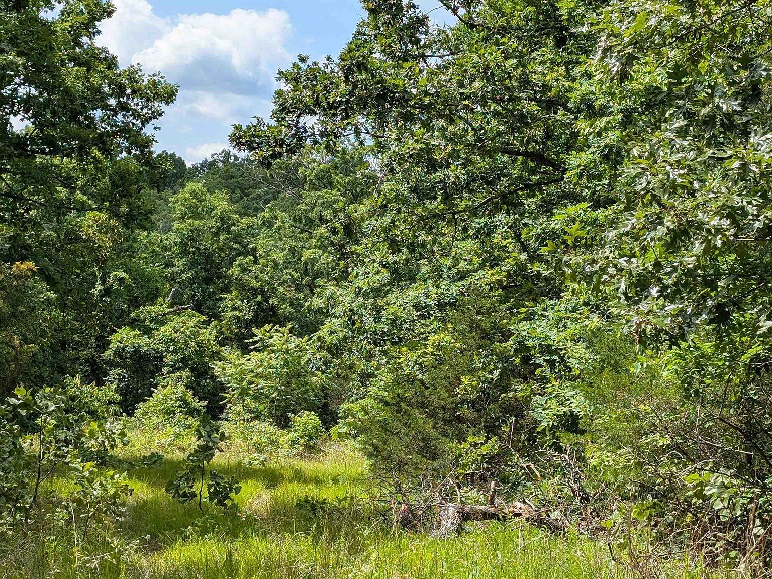 102 N Basswood Ln Horseshoe Bend, AR 72512 - Thumbnail 3