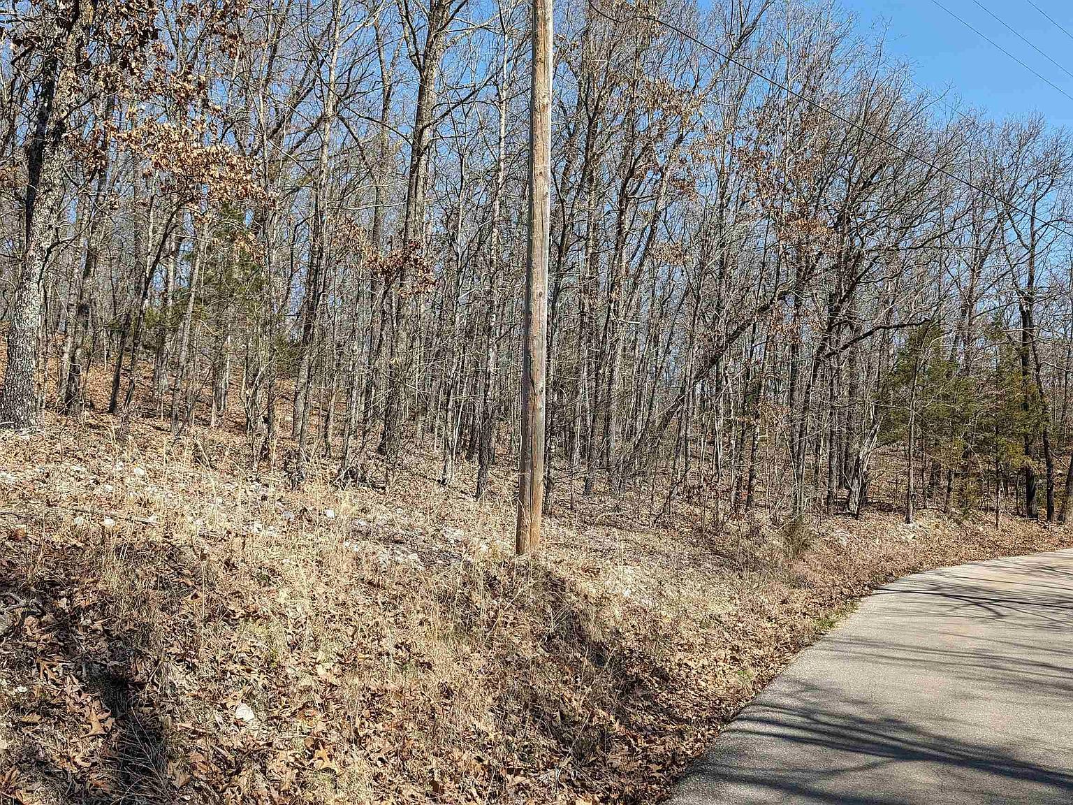 31 Ridgecrest Dr Hardy, AR 72542 - Thumbnail 3