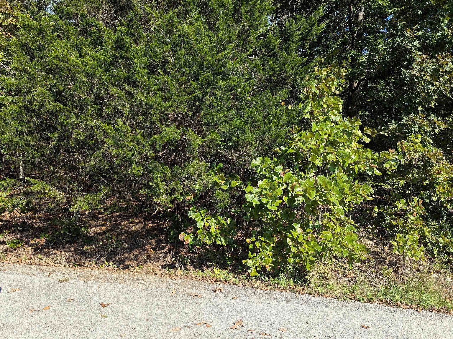 L20-21 22 B6 Lakota Trce Cherokee Village, AR 72529 - Thumbnail 3