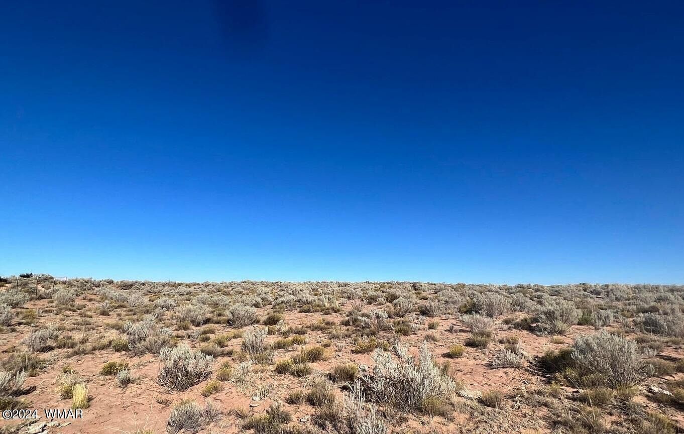 County Road 7111 Saint Johns, AZ 85936 - Thumbnail 3