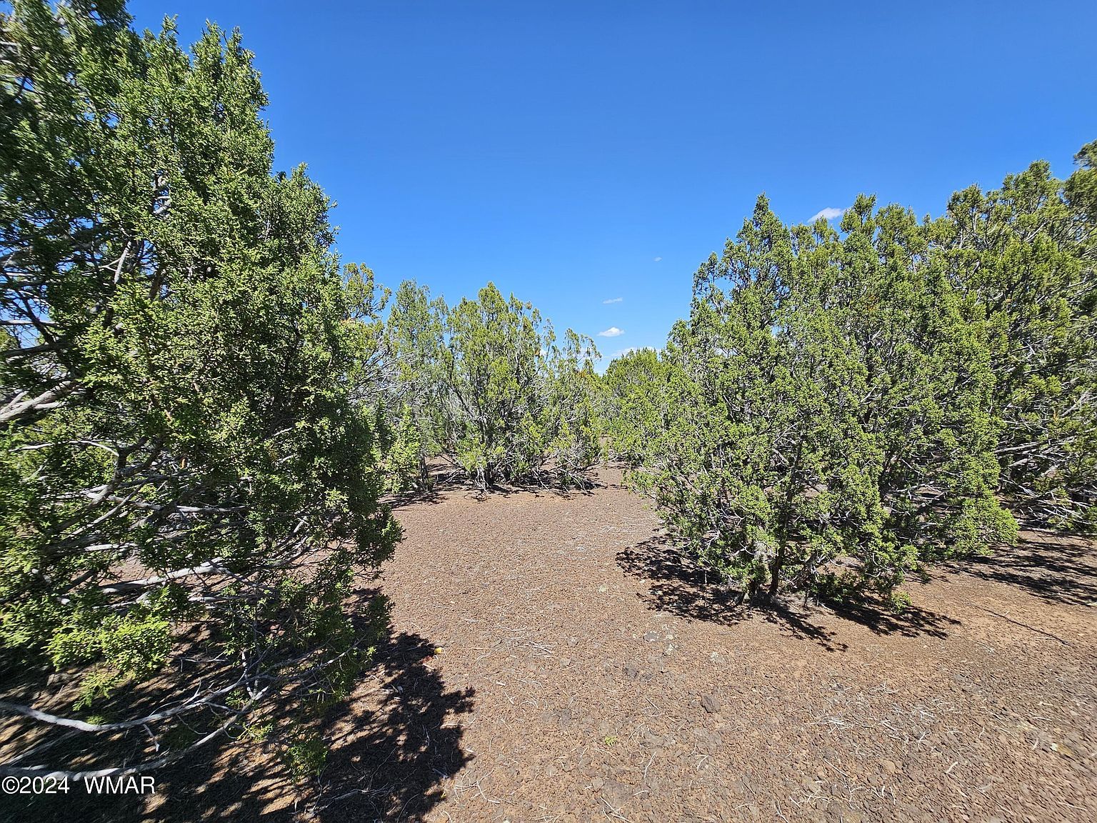 1259 Ranch Rd Show Low, AZ 85901 - Thumbnail 3